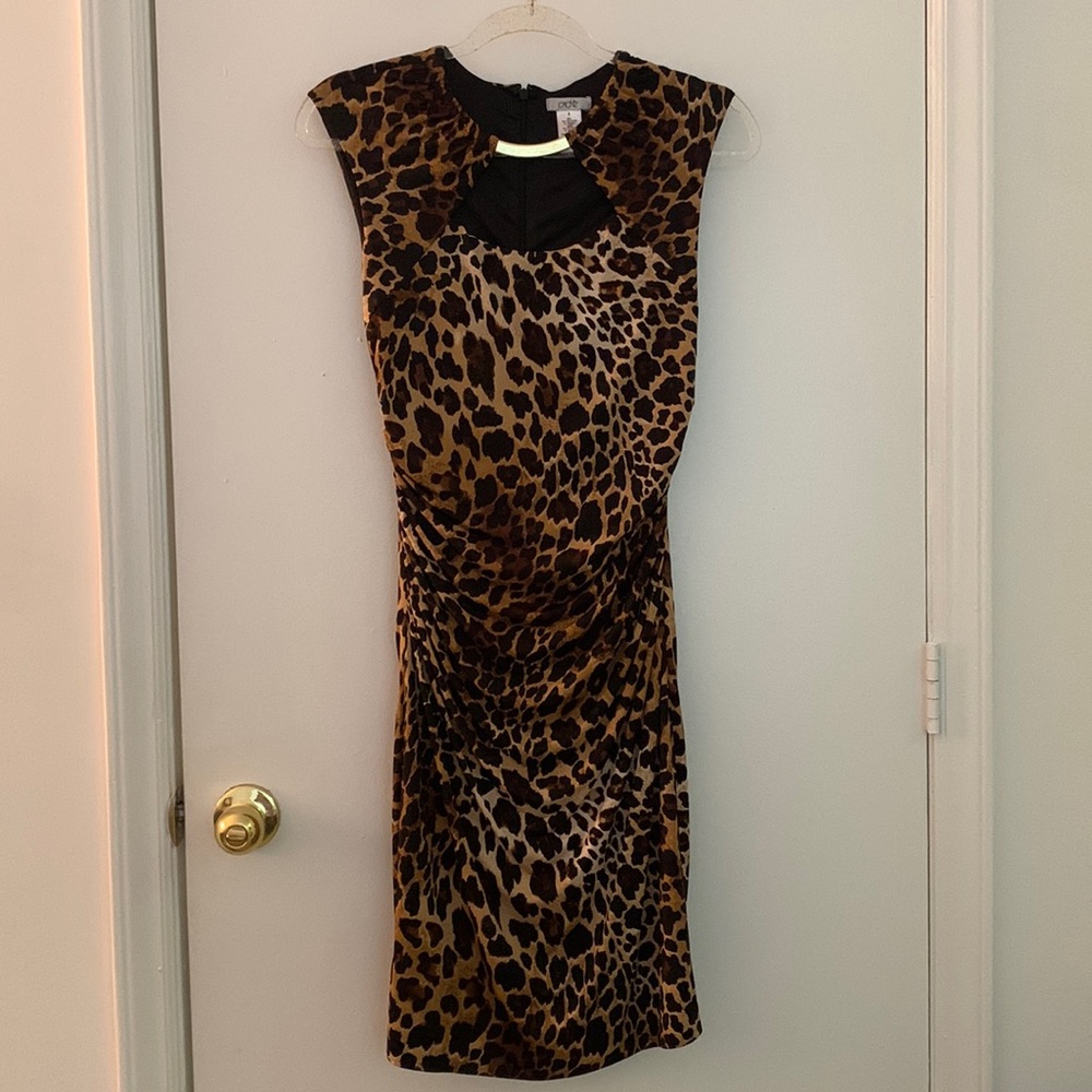 Caché Leopard print dress